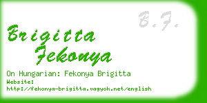 brigitta fekonya business card